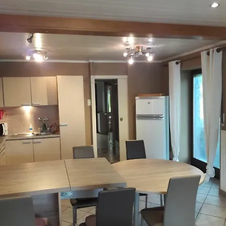 Le D Egide * 와이메스